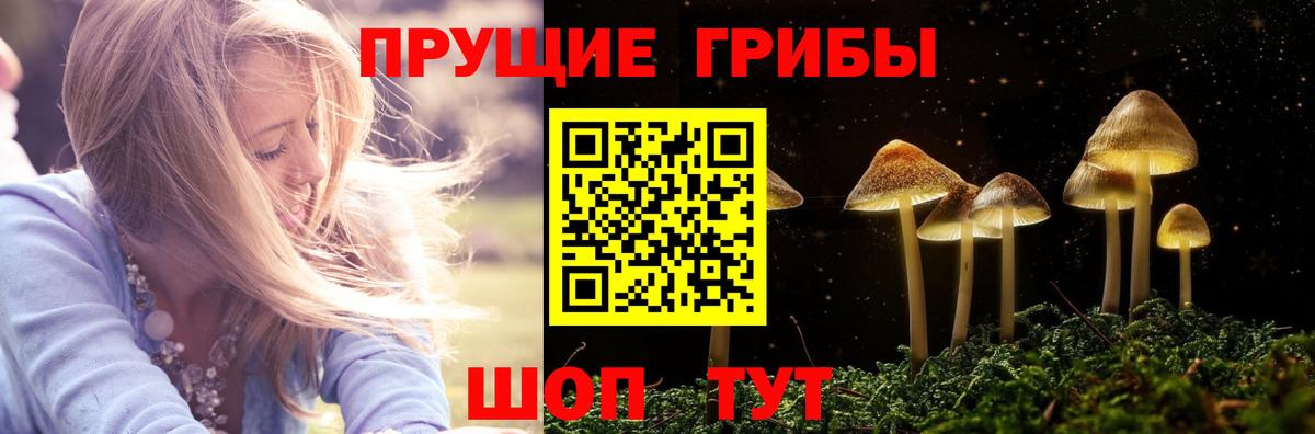 Псилоцибиновые грибы мухоморы  Вход с VPN  Полысаево 